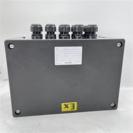 BXJ防爆防腐接线盒 BXJ8050-S-20/20粉尘防爆箱 增安型端子箱