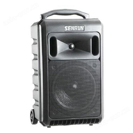SENRUN EP-800DMU/U4扩音机